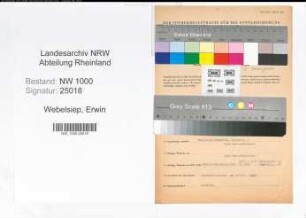 Entnazifizierung Erwin Webelsiep, geb. 17.08.1912 (Kaufm.Angest.)