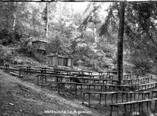 Erster Weltkrieg : Provisorische Kirchenbänke, Altar und Kanzel im Wald
