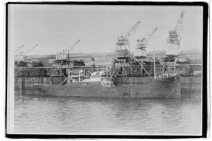 Andromeda (1910), Neptun, Bremen