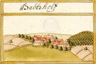 Balzholz ES