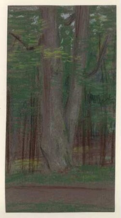 [Wald]