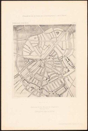 Wettbewerb Groß-Berlin 1910. Siedlung, Rudow: Bebauungsplan (aus: Wettbewerb Groß-Berlin 1910. Die preisgekrönten Entwürfe mit Erläuterungsberichten, 1911)