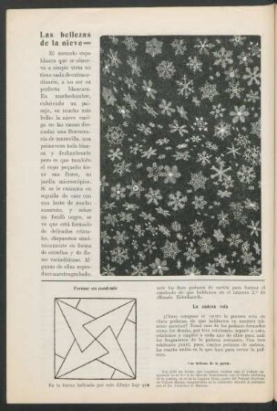 Las bellezas de la nieve