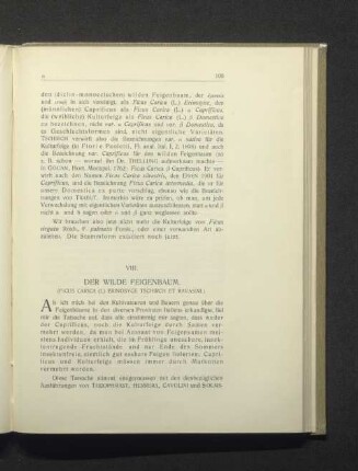 VIII. Der wilde Feigenbaum.