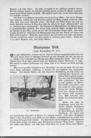 Maasgruppe West.