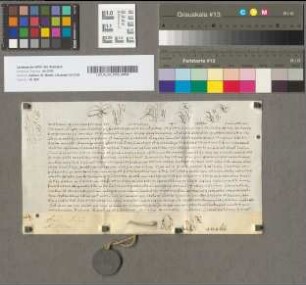 Päpstlicher Einsetzungsbefehl zu Gunsten des Matthias Josephus Brammertz.