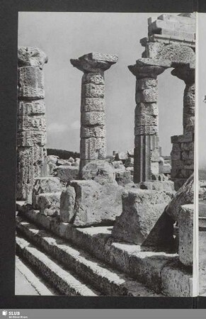 Selinunt, Akropolis. Stylobat und wieder aufgerichtete Säulen des Tempels C
