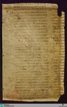 Homiliar, Fragment - Cod. St. Peter perg. 125