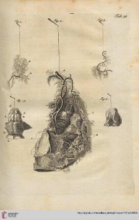 Tab. 14