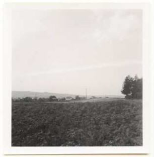 Grünflächenplanung Wirsitz: Landschaft