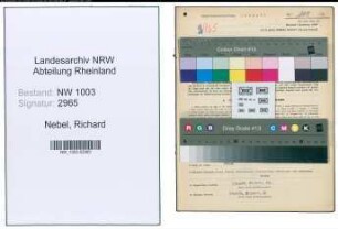 Entnazifizierung Richard Nebel , geb. 05.07.1897 (Amtsgehilfe)