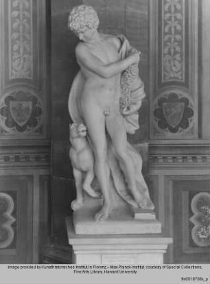 Bacchus mit dem Panther - Bacchus