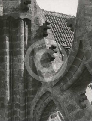 Krabben am Giebel der St. Trinitatiskirche in Danzig