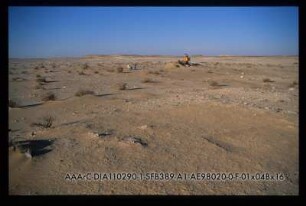 Djara 98/20