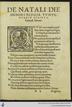 De Natali Die Domini Elegia Tumultuario Scripta
