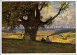Landschaft im Sommer