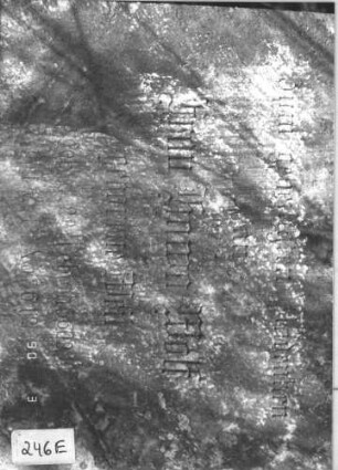 Grabstein 246 (Index: 99786865) Maße HxBxT: 182x59x26 cm Symbolik: geknickte Rose Besonderheit: kulturhistorisch wertvoll / hist.-wiss. und künstl.-formale Gründe (Gemeindestellung, Inschrift): Grabstein 246E