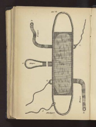 Taf. 73 Pferdegurt