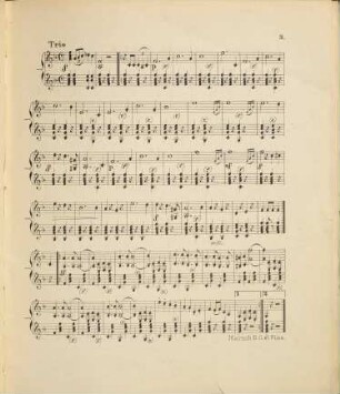 Ludwigs-Marsch : für Zither ; op. 18