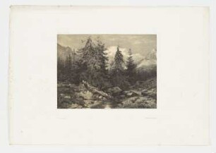 Berglandschaft mit Bach und Tannen, Blatt 49 der Folge "Werke"