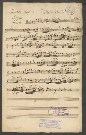Viola da braccio