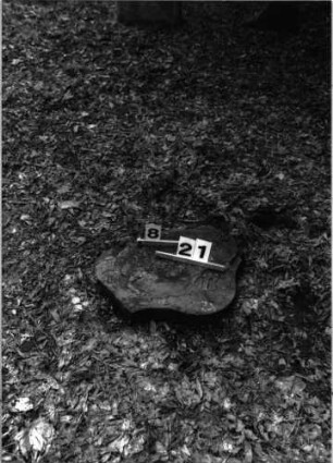 Grabstein A I/8/21