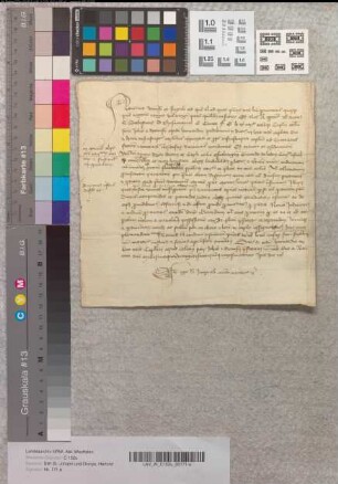 Propst, Dekan, Scholaster, Thesaurar, Cantor und Kanoniker von St. Johann und Dionys erklären, dass sie den Osnabrücker Kanoniker Gerardus de Leden zum Kanoniker ihrer Kirche aufgenommen haben. Sub anno a nativitate Domini millesimo quadringentesimo quinquagesimo tercio.