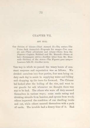 Chapter VII. Ant hill