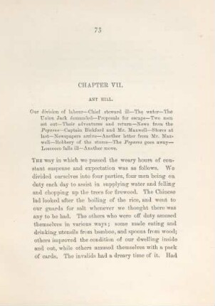 Chapter VII. Ant hill