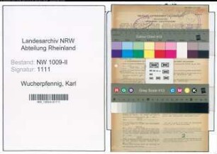 Entnazifizierung Karl Wucherpfennig , geb. 30.03.1896 (Spark.Angestellter)