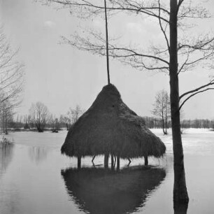 Landschaftsbild. Frühling im Spreewald. Leiper Weg. Heuschober. Die Wiesen sind überschwemmt. : Wobraz krajiny. Nalěćo w Błótach. Puć w Lipjem. Kopjena (Stogi). Łuki su přepławjene.