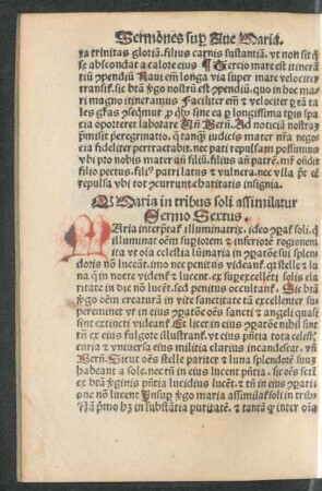 Sermo Sextus.