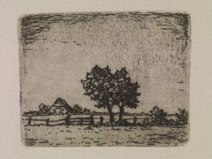 Landschaft