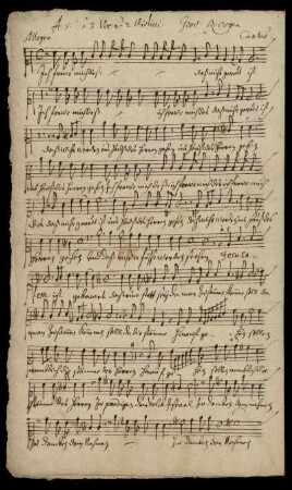 Cantus