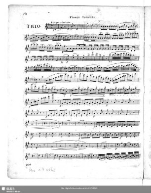 Flauto tertio