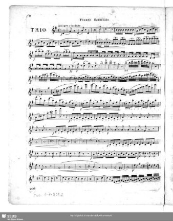 Flauto tertio