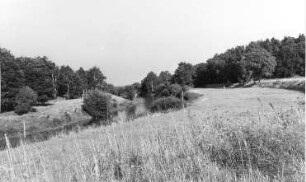 Krauschwitz-Pechern. Neißepartie auf Werdeck zu