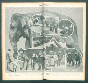 En el Zoológico - [Ilustración]
