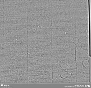 Wasserzeichen S.35_36