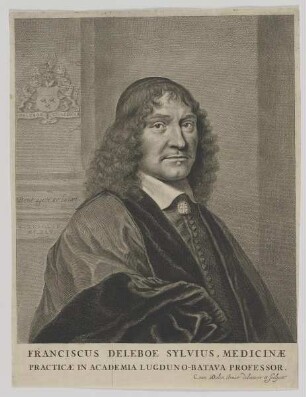 Bildnis des Franciscus Deleboe Sylvius