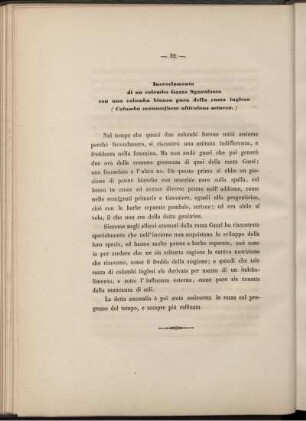 Inrociamento di un colombo...