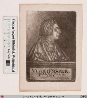 Bildnis Ulrich (V) Starck