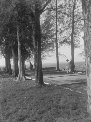 Strandweg : Strandweg in Lindi.