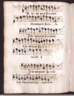 Petrus Manchicurtius : Illuminare Jerusalem