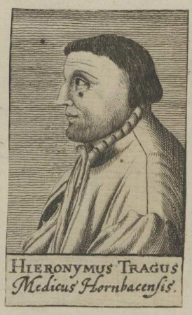 Bildnis des Hieronymus Tragus