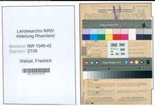 Entnazifizierung Friedrich Welzel , geb. 19.04.1888 (Kraftfahrer)
