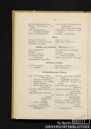 Geschlitztblätterige Gehölze.