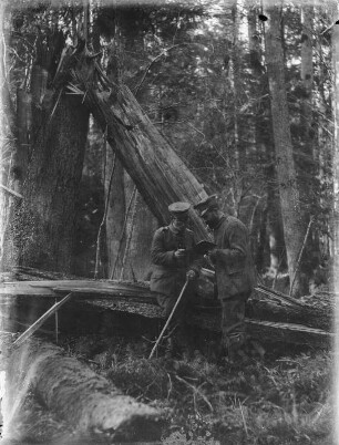Rudolf Zimmermann in Uniform : Rudolf Zimmermann (rechts) und ein weiterer Soldat in Uniform vor einem umgestürzten Baum.