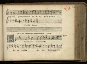 17. [= 48.] Fundamenta eius