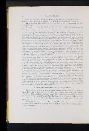 2. Eigentliche Mundhöhle, Cavum oris proprium.